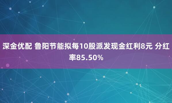 深金优配 鲁阳节能拟每10股派发现金红利8元 分红率85.50%