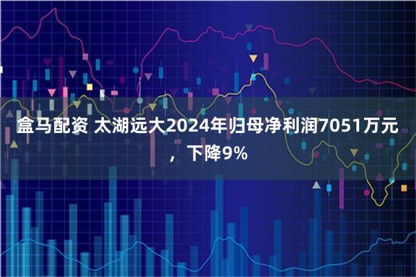 盒马配资 太湖远大2024年归母净利润7051万元，下降9%