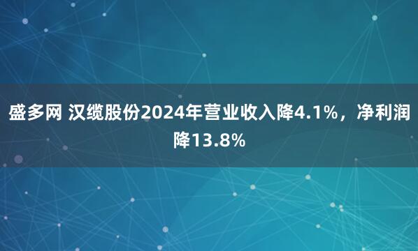 盛多网 汉缆股份2024年营业收入降4.1%，净利润降13.8%