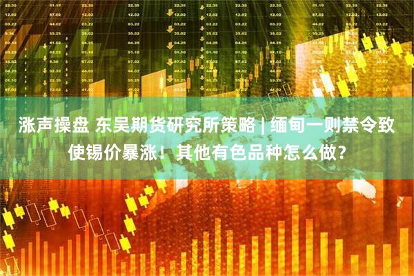 涨声操盘 东吴期货研究所策略 | 缅甸一则禁令致使锡价暴涨！其他有色品种怎么做？