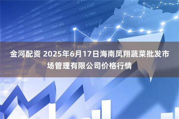 金河配资 2025年6月17日海南凤翔蔬菜批发市场管理有限公司价格行情