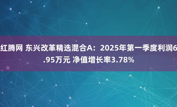 红腾网 东兴改革精选混合A：2025年第一季度利润6.95万元 净值增长率3.78%