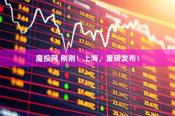 魔投网 刚刚！上海，重磅发布！