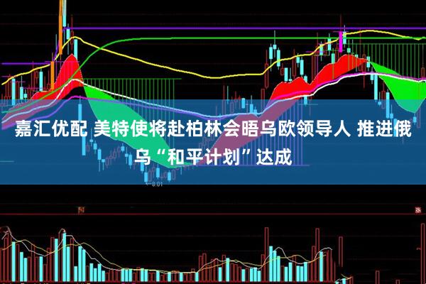 嘉汇优配 美特使将赴柏林会晤乌欧领导人 推进俄乌“和平计划”达成