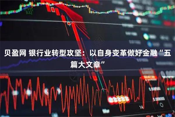 贝盈网 银行业转型攻坚：以自身变革做好金融“五篇大文章”